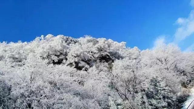 各方迅速启动应急预案 搜救工作紧张有序进行（在现场）